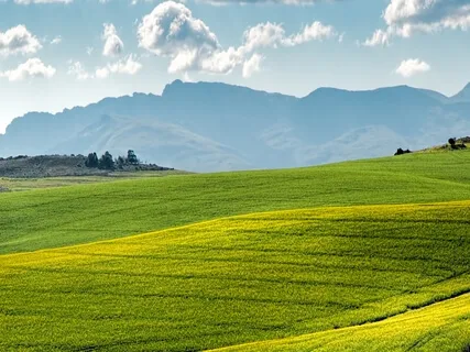 Affirmations For Prosperity Consciousness