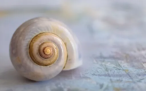 Affirmations For Protection