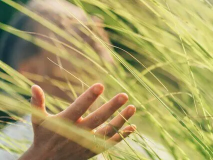 Affirmations For Rapid Abundance Manifestation