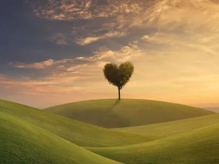 Affirmations For Receiving Love & Affection