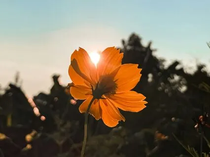 Affirmations For Releasing & Letting Go Of The Past