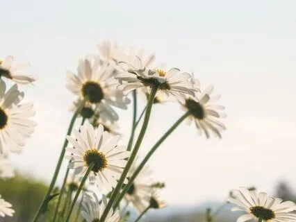 Affirmations For Releasing Worry & Overthinking