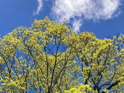 Affirmations For Renewal