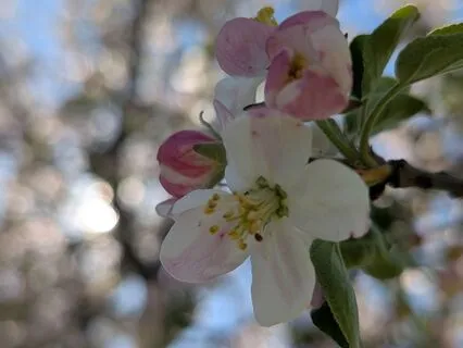 Affirmations For Resilience And Strength