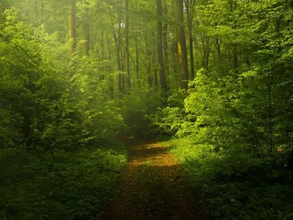 Affirmations For Self-belief