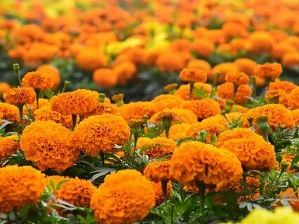 Affirmations For Self-Compassion & Personal Growth