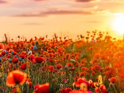 Affirmations For Self-Compassion