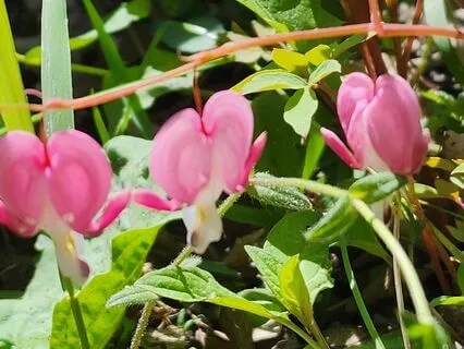 Affirmations For Self-Empowerment & Personal Growth