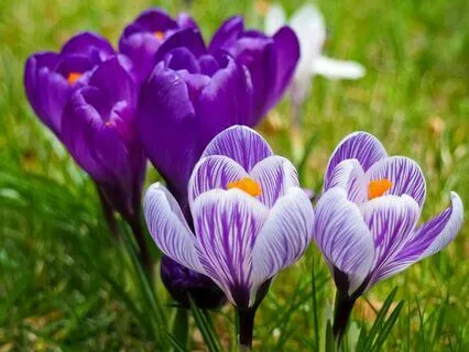 Affirmations For Self-Empowerment, Resilience & Growth