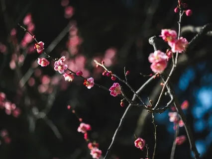 Affirmations For Self-Empowerment