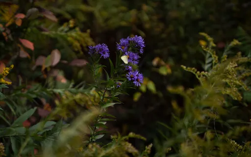 Affirmations For Self-Esteem (With Intro)