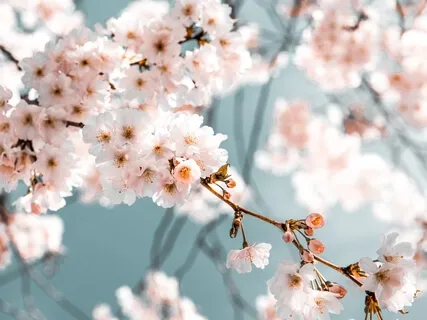 Affirmations For Self Love