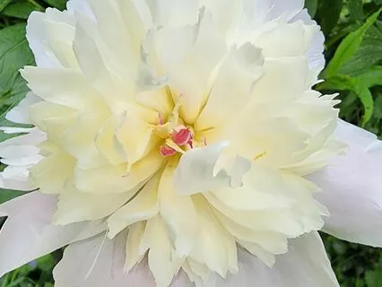 Affirmations For Self-Love, Empowerment & Growth