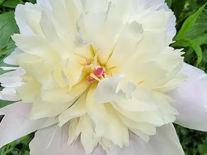 Affirmations For Self-Love, Growth & Inner Peace