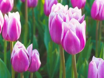 Affirmations For Self-Love, Self-Worth & Self-Acceptance