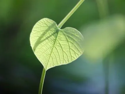 Affirmations For Self-Love