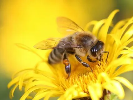 Affirmations For Self-Love