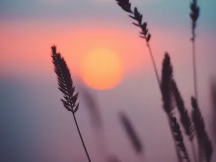 Affirmations For Self-Love