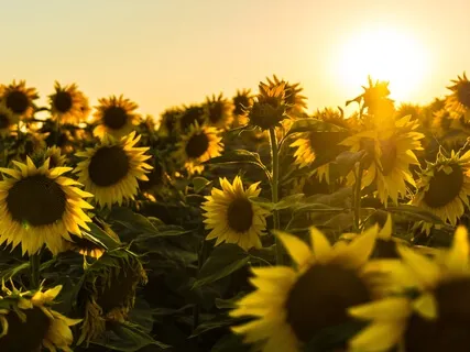 Affirmations For Self-Worth