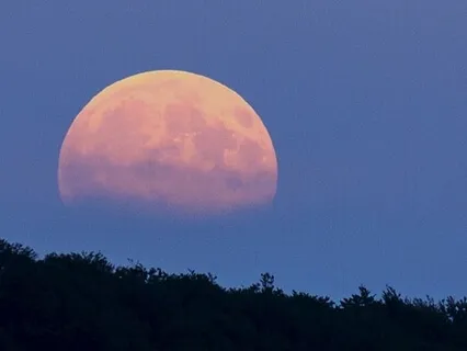 Affirmations For Sleep (5-Minute)