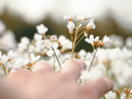 Affirmations For Soul Alignment