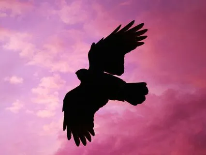 Affirmations For Success And Self Growth