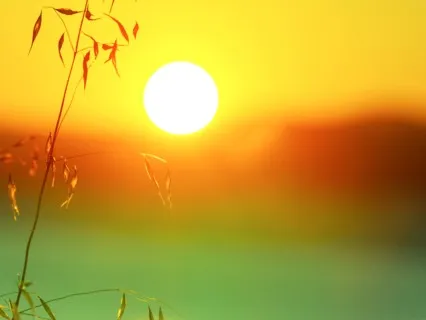 Affirmations For Success, Abundance, And Happiness