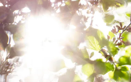 Affirmations For Success (With Intro)