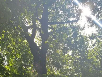 Affirmations For Tantra Practitioners