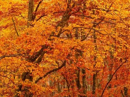 Affirmations For The Sacral Chakra