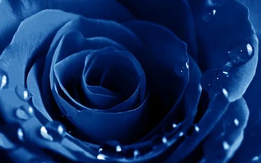 Affirmations For The Third Eye Chakra