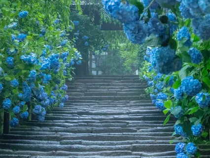 Affirmations For The World – Affirmative Prayer