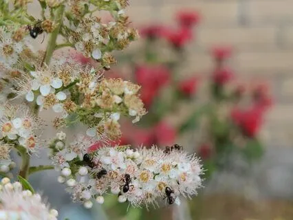 Affirmations For The Year Of The Snake 2025