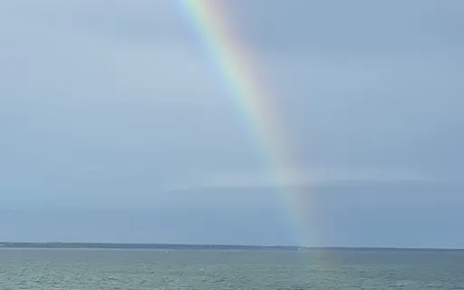 Affirmations For Thriving