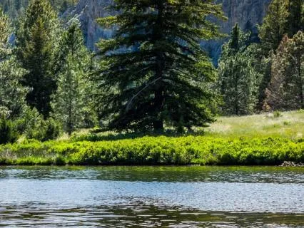 Affirmations For Uncertainty, Trust, And Inner Calm