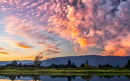 Affirmations For Vibrant Health With AUM & Theta Waves