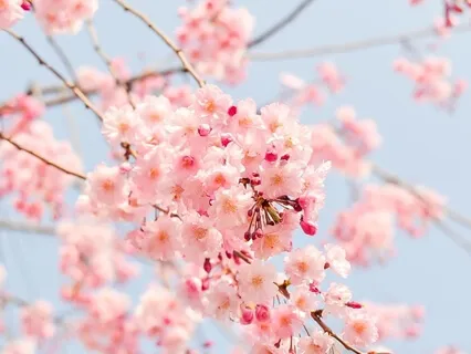 Affirmations For Wealth, Prosperity & Abundance