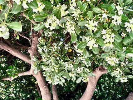 Affirmations For Welcoming Wealth Into Your Life