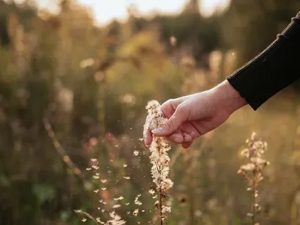 Affirmations For When You Feel Anxious