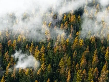 Affirmations For When You Feel Lost