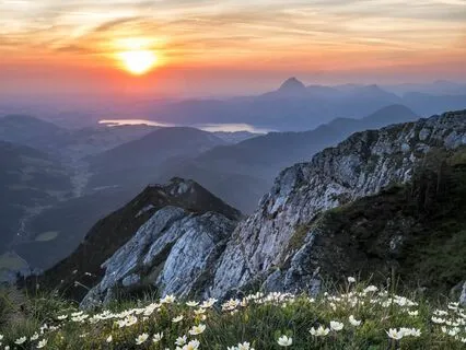 Affirmations For Wild Inspiration