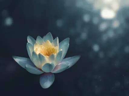 Affirmations For Worthiness & Value