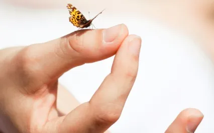 Affirmations - Health