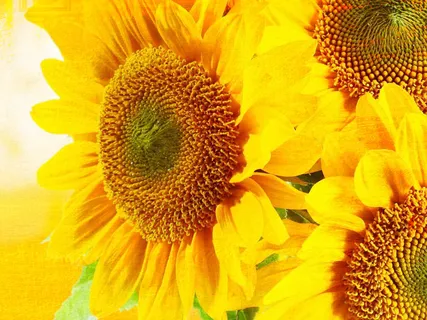 Affirmations: I Am A Free Sovereign Being 