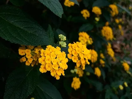 Affirmations: I Am Intelligent And Capable