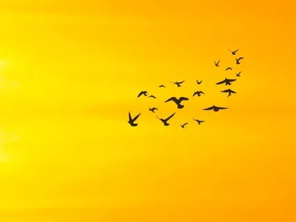 Affirmations: "I Am So Blessed"