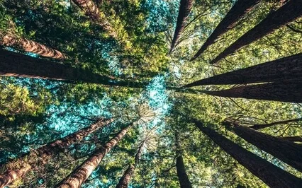 Affirmations: I Approve Of Myself