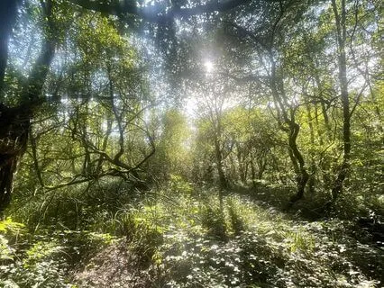 Affirmations Mediation For Self-Esteem