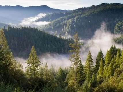 Affirmations Meditation