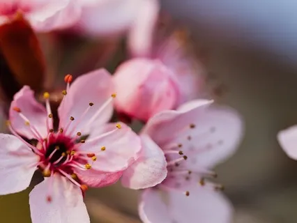 Affirmations: Nurturing Your Inner Truth